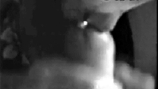 Homemade Blowjob Where Wife Loves Sucking Cock And Taking Facial Photo